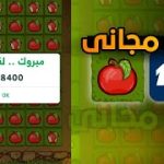 تحميل هكر لعبة التفاحة 1xbet مجانا برابط مباشر